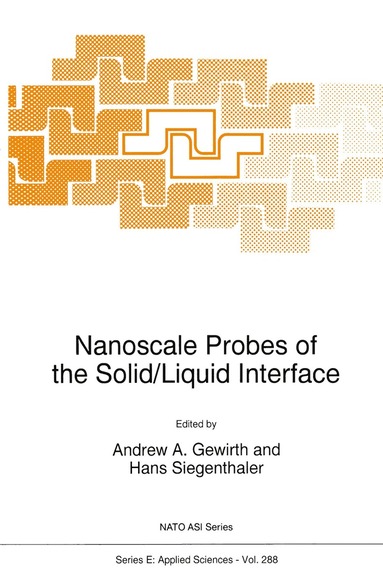 bokomslag Nanoscale Probes of the Solid/Liquid Interface