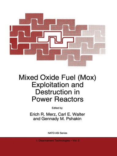 E.R. Merz, Carl E. Walter, Gennady M. Pshakin - Mixed Oxide Fuel (Mox) Exploitation and Destruction in Power Reactors, Häftad
