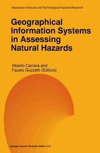 bokomslag Geographical Information Systems in Assessing Natural Hazards