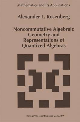 Noncommutative Algebraic Geometry and Representations of Quantized Algebras 1