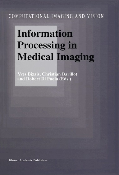 Yves Bizais, Christian Barillot, Robert Di Paola - Information Processing in Medical Imaging, Häftad