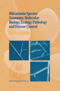 bokomslag Rhizoctonia Species: Taxonomy, Molecular Biology, Ecology, Pathology and Disease Control