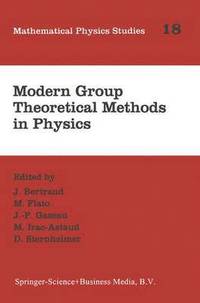 bokomslag Modern Group Theoretical Methods in Physics