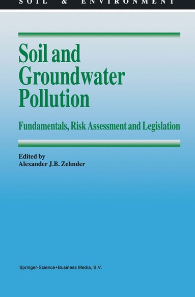 bokomslag Soil and Groundwater Pollution