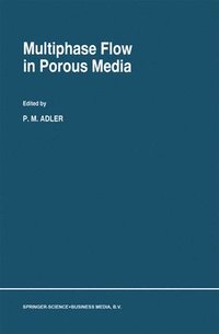 bokomslag Multiphase Flow in Porous Media