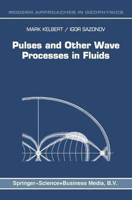 M. Kelbert, I.A. Sazonov, I. a. Sazonov, Igor Sazonov, I. A. Sazonov - Pulses and Other Wave Processes in Fluids, Häftad