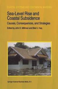 bokomslag Sea-Level Rise and Coastal Subsidence: Causes, Consequences, and Strategies