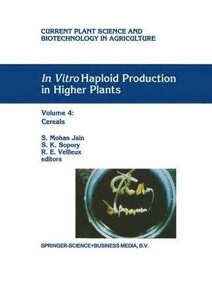 bokomslag In Vitro Haploid Production in Higher Plants