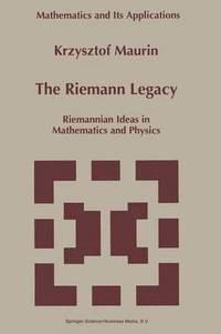 bokomslag The Riemann Legacy