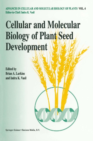 bokomslag Cellular and Molecular Biology of Plant Seed Development