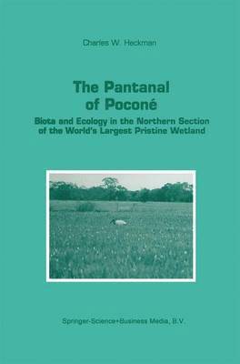 bokomslag Pantanal of Poconé