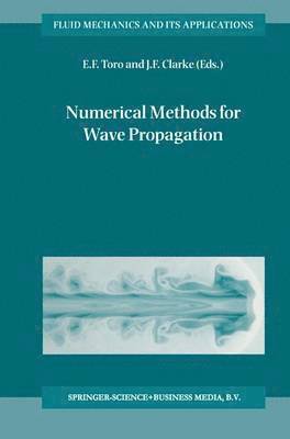 bokomslag Numerical Methods for Wave Propagation