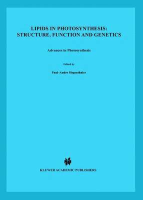 bokomslag Lipids in Photosynthesis: Structure, Function and Genetics