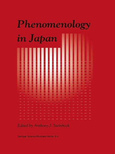 bokomslag Phenomenology in Japan