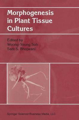 bokomslag Morphogenesis in Plant Tissue Cultures