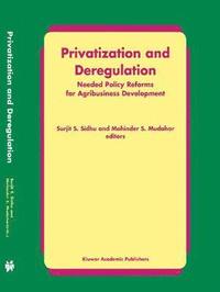 bokomslag Privatization and Deregulation