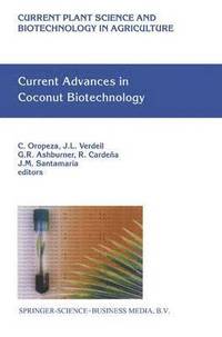 bokomslag Current Advances in Coconut Biotechnology