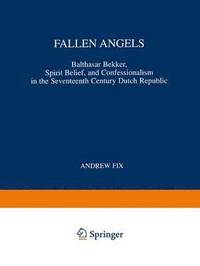 bokomslag Fallen Angels
