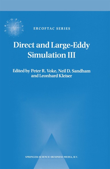 Peter R. Voke, Neil D. Sandham, Leonhard Kleiser - Direct and Large-Eddy Simulation III, Häftad
