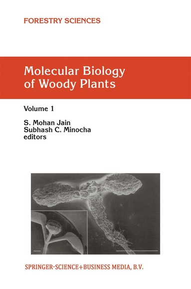 S.M. Jain, S.C. Minocha - Molecular Biology of Woody Plants, Häftad