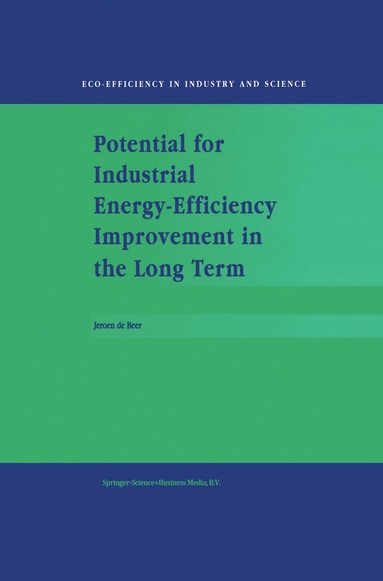 bokomslag Potential for Industrial Energy-Efficiency Improvement in the Long Term