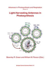 bokomslag Light-Harvesting Antennas in Photosynthesis