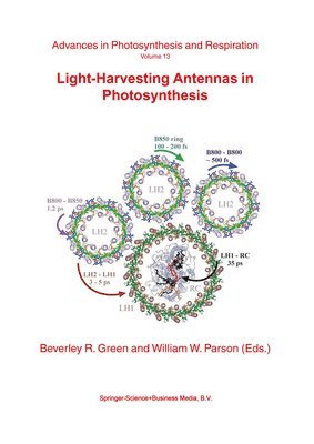 Light-Harvesting Antennas in Photosynthesis 1