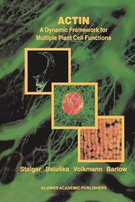 Actin: A Dynamic Framework for Multiple Plant Cell Functions 1