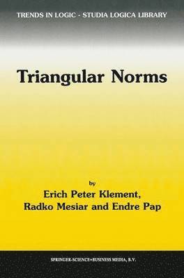 bokomslag Triangular Norms