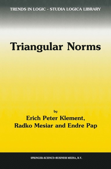 bokomslag Triangular Norms