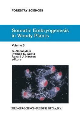 bokomslag Somatic Embryogenesis in Woody Plants