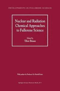 bokomslag Nuclear and Radiation Chemical Approaches to Fullerene Science