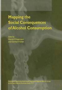 bokomslag Mapping the Social Consequences of Alcohol Consumption