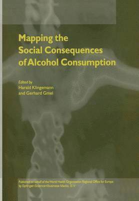 bokomslag Mapping the Social Consequences of Alcohol Consumption