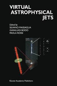bokomslag Virtual Astrophysical Jets
