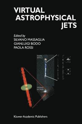 bokomslag Virtual Astrophysical Jets