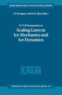 bokomslag IUTAM Symposium on Scaling Laws in Ice Mechanics and Ice Dynamics