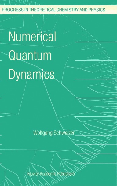 bokomslag Numerical Quantum Dynamics