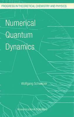 Numerical Quantum Dynamics 1