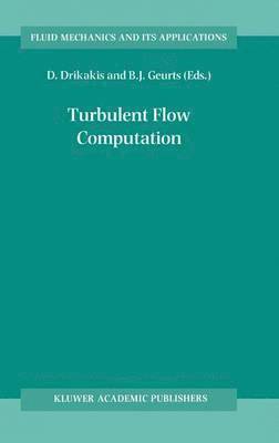 Turbulent Flow Computation 1