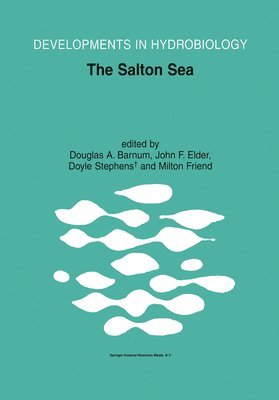 bokomslag The Salton Sea