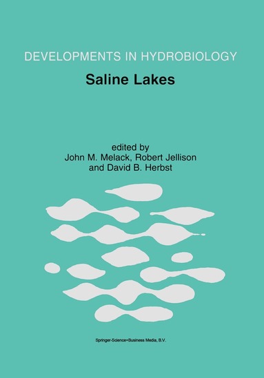 John M. Melack, Robert Jellison, David B. Herbst - Saline Lakes, Häftad