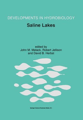 Saline Lakes 1