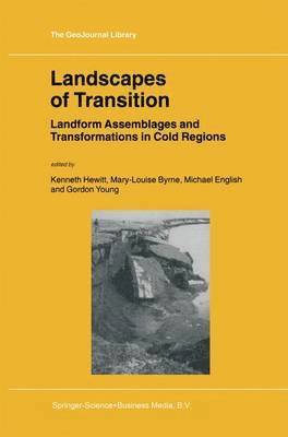 bokomslag Landscapes of Transition