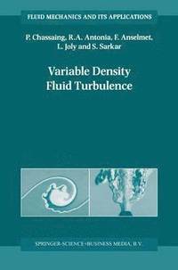 bokomslag Variable Density Fluid Turbulence