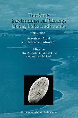 bokomslag Tracking Environmental Change Using Lake Sediments