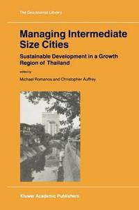 bokomslag Managing Intermediate Size Cities