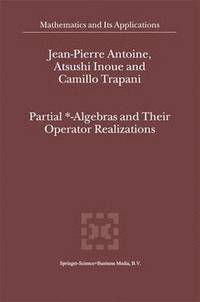 bokomslag Partial *- Algebras and Their Operator Realizations