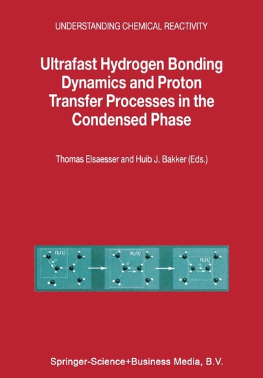 Thomas Elsaesser, H.J. Becker - Ultrafast Hydrogen Bonding Dynamics and Proton Transfer Processes in the Condensed Phase, Häftad
