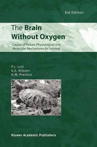 bokomslag The Brain Without Oxygen